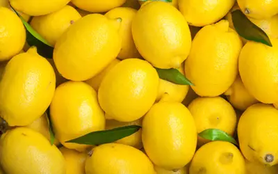 Can I Eat Lemon With Braces? [Explained]