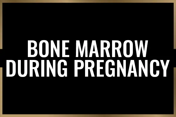 Can You Eat Bone Marrow While Pregnant? [Explained]